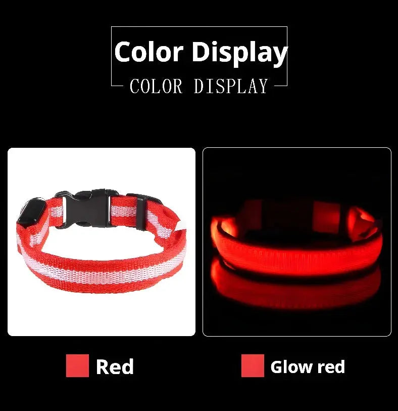 LED Dog Collar – Glow-in-the-Dark, Nylon Flashing Pet Safety Collar for Nighttime Visibility & Protection