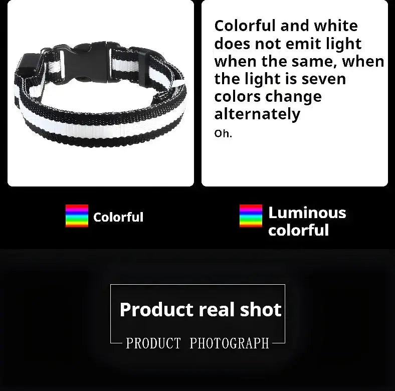 LED Dog Collar – Glow-in-the-Dark, Nylon Flashing Pet Safety Collar for Nighttime Visibility & Protection