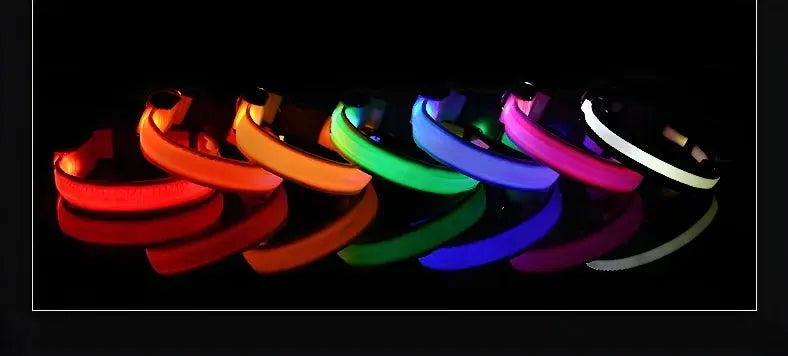 LED Dog Collar – Glow-in-the-Dark, Nylon Flashing Pet Safety Collar for Nighttime Visibility & Protection