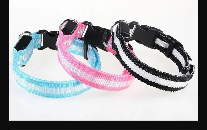 LED Dog Collar – Glow-in-the-Dark, Nylon Flashing Pet Safety Collar for Nighttime Visibility & Protection
