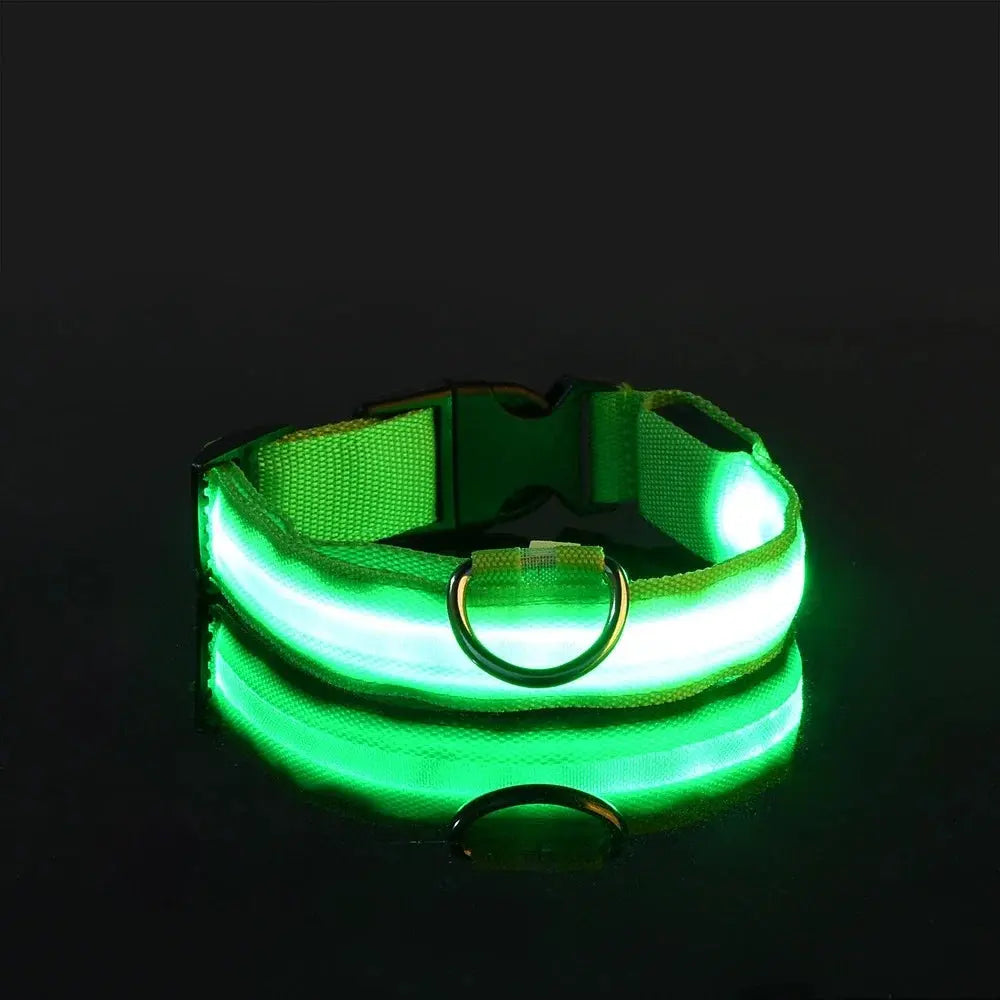 LED Dog Collar – Glow-in-the-Dark, Nylon Flashing Pet Safety Collar for Nighttime Visibility & Protection
