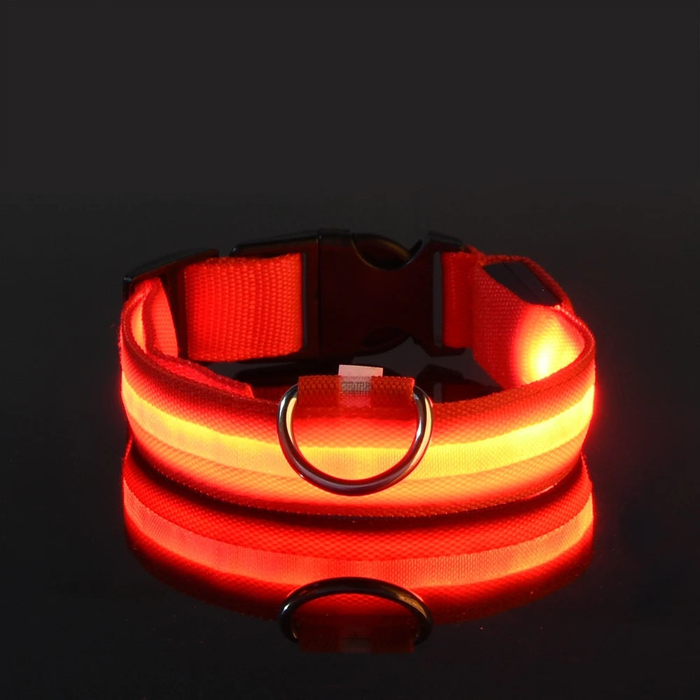 LED Dog Collar – Glow-in-the-Dark, Nylon Flashing Pet Safety Collar for Nighttime Visibility & Protection