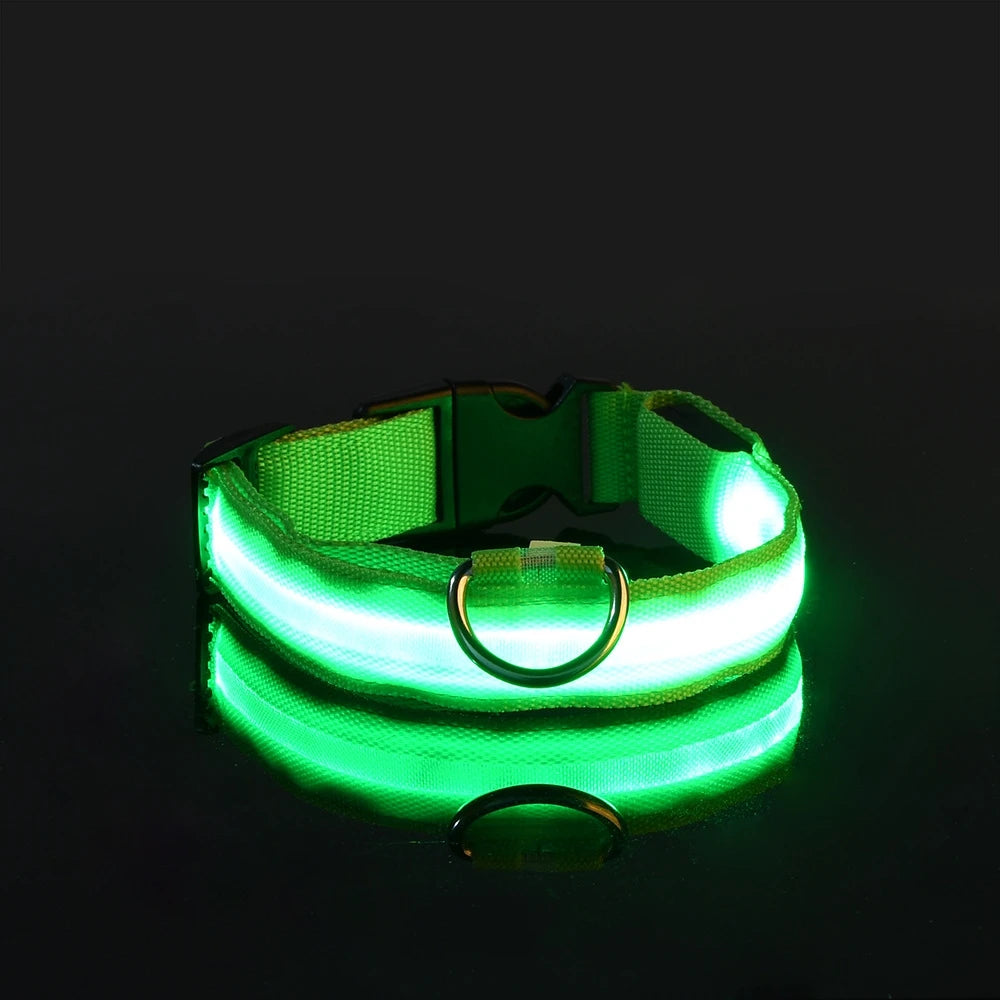 LED Dog Collar – Glow-in-the-Dark, Nylon Flashing Pet Safety Collar for Nighttime Visibility & Protection