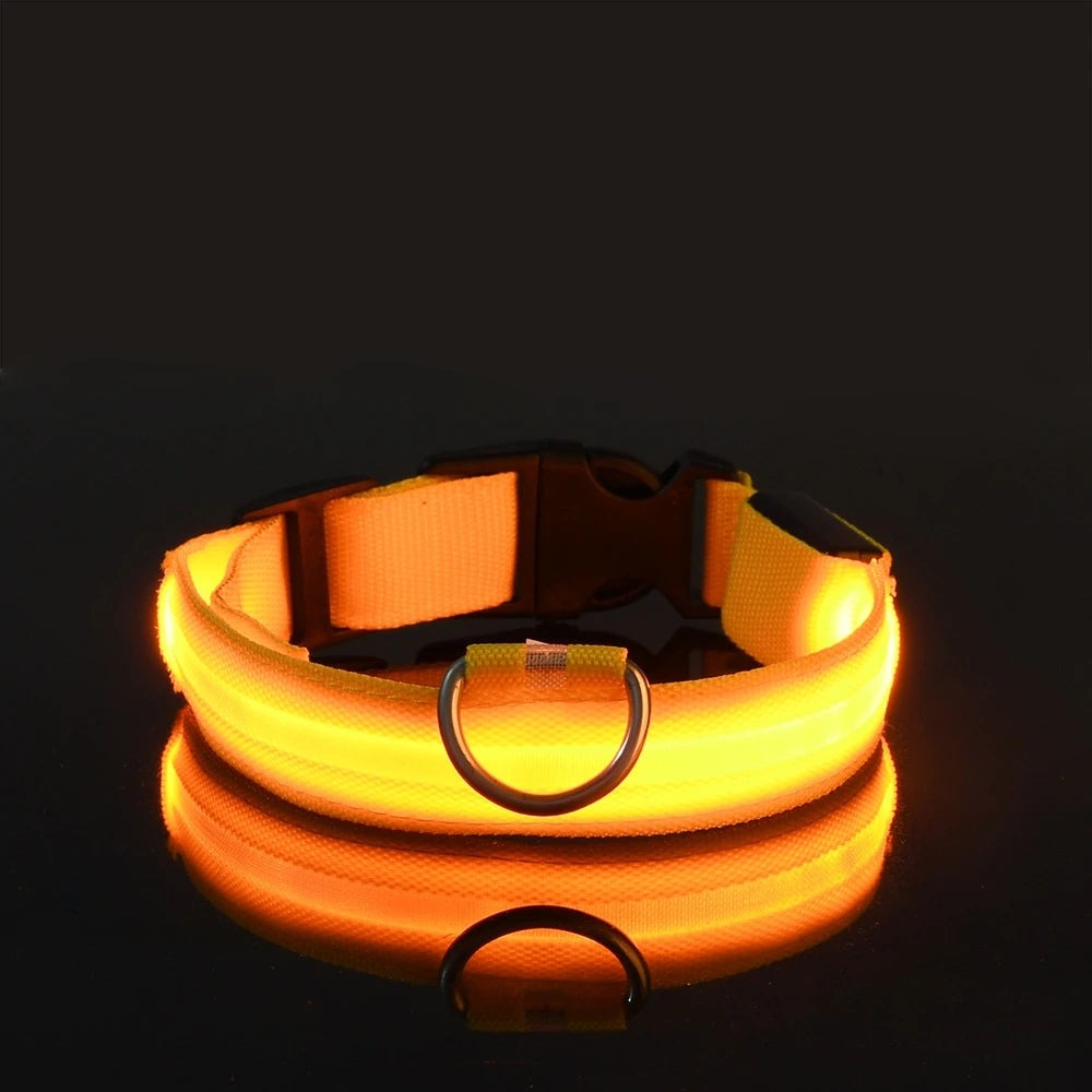 LED Dog Collar – Glow-in-the-Dark, Nylon Flashing Pet Safety Collar for Nighttime Visibility & Protection