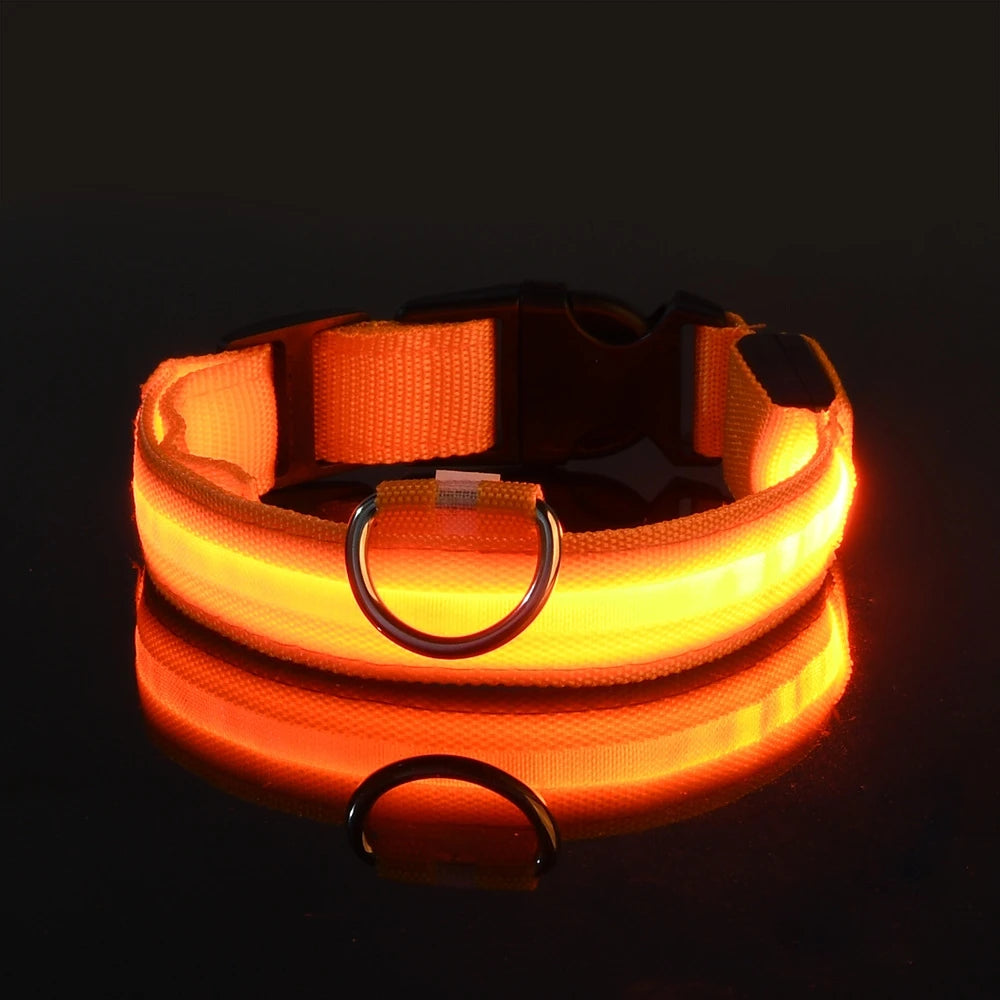 LED Dog Collar – Glow-in-the-Dark, Nylon Flashing Pet Safety Collar for Nighttime Visibility & Protection