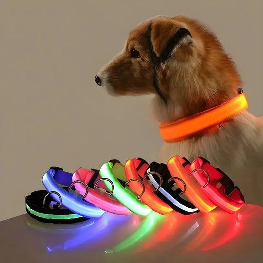 LED Dog Collar – Glow-in-the-Dark, Nylon Flashing Pet Safety Collar for Nighttime Visibility & Protection