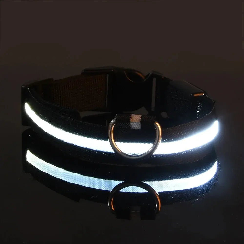 LED Dog Collar – Glow-in-the-Dark, Nylon Flashing Pet Safety Collar for Nighttime Visibility & Protection