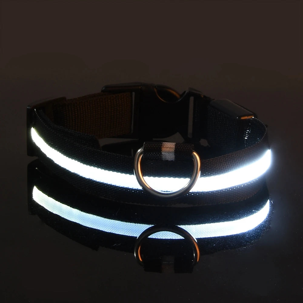 LED Dog Collar – Glow-in-the-Dark, Nylon Flashing Pet Safety Collar for Nighttime Visibility & Protection