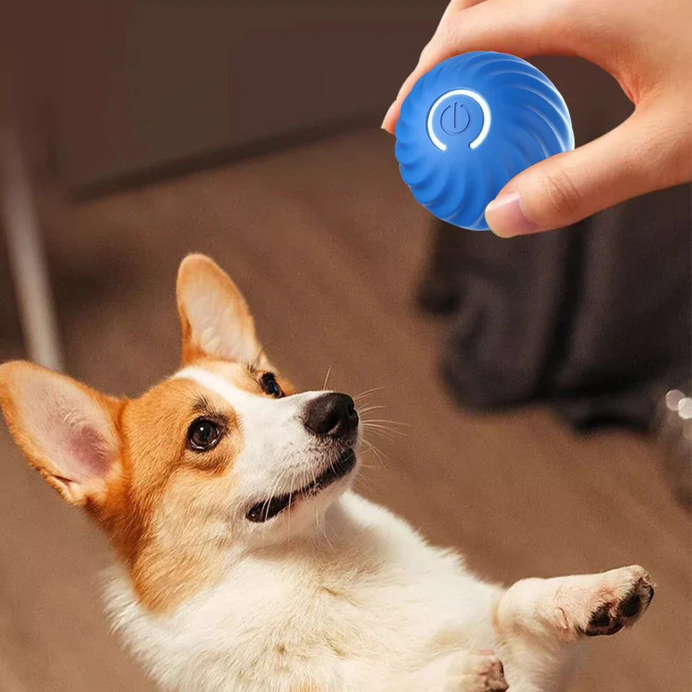 Interactive Smart Dog Toy – Engage and Entertain Your Pet with Fun & Stimulating Play! Perfect for Active Dogs
