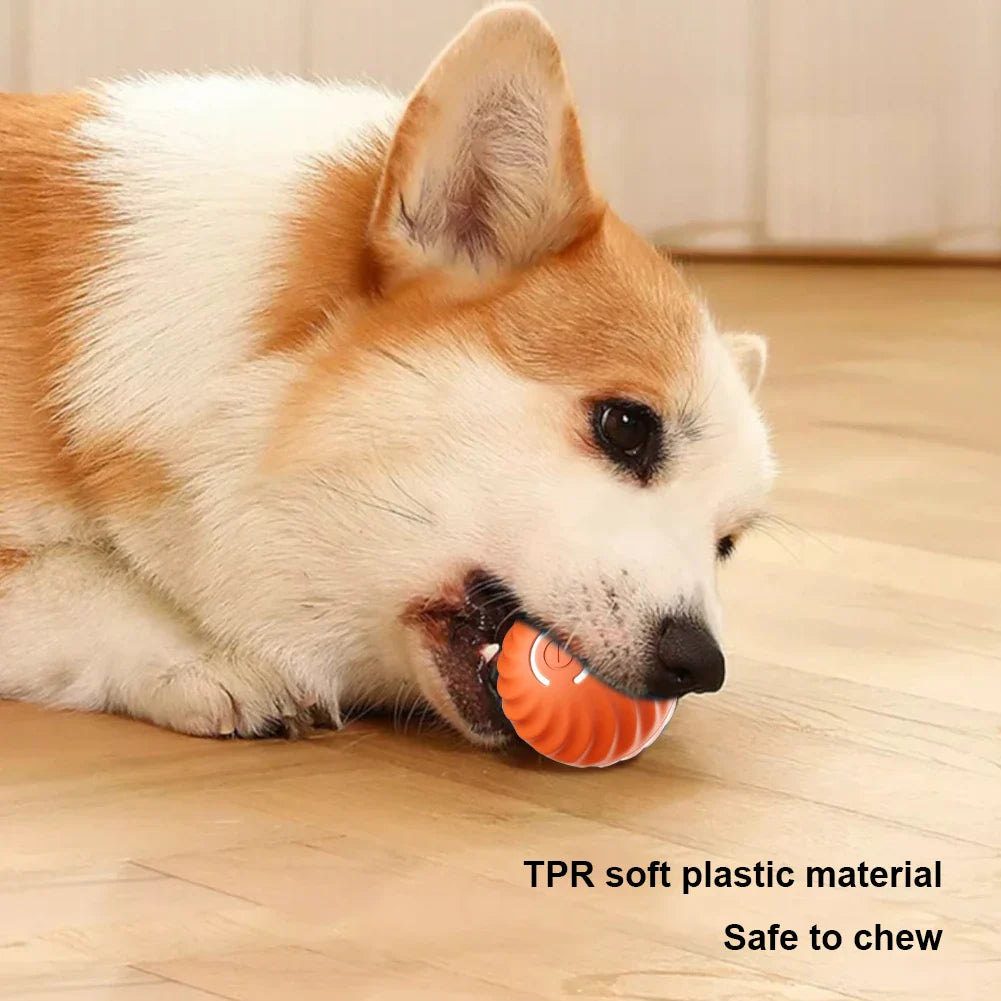 Interactive Smart Dog Toy – Engage and Entertain Your Pet with Fun & Stimulating Play! Perfect for Active Dogs