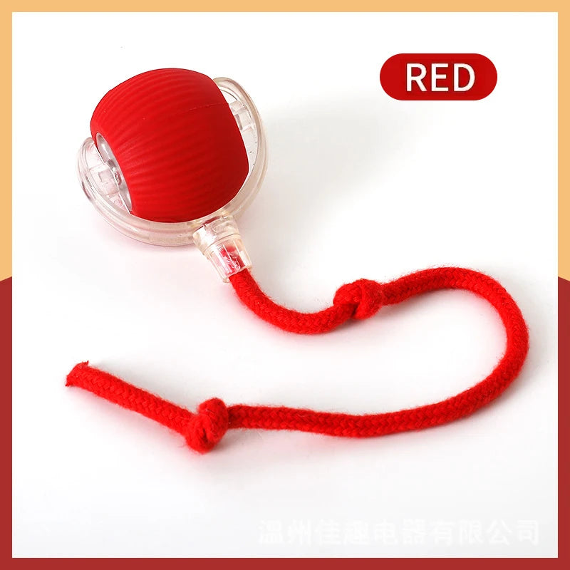 Interactive Smart Dog Toy – Engage and Entertain Your Pet with Fun & Stimulating Play! Perfect for Active Dogs