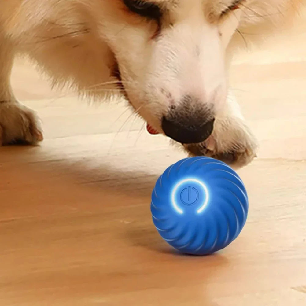 Interactive Smart Dog Toy – Engage and Entertain Your Pet with Fun & Stimulating Play! Perfect for Active Dogs