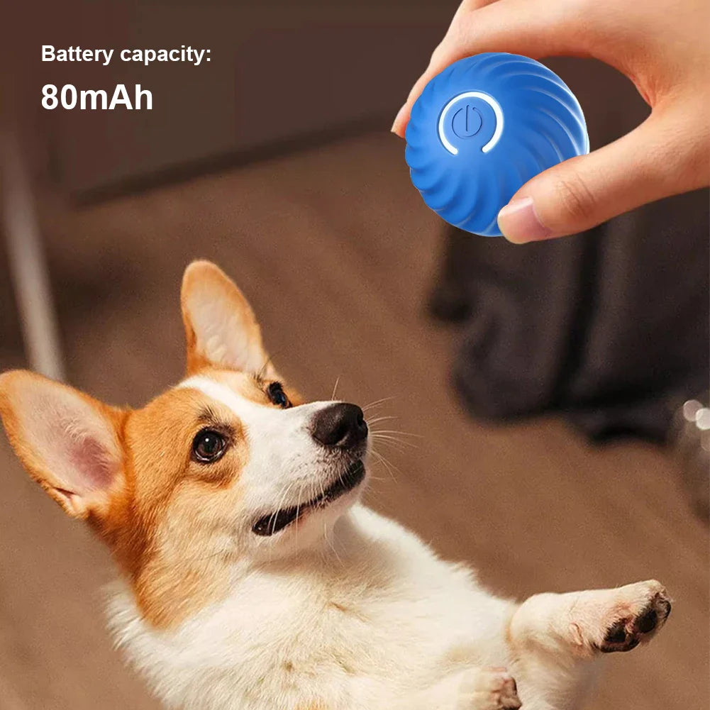 Interactive Smart Dog Toy – Engage and Entertain Your Pet with Fun & Stimulating Play! Perfect for Active Dogs
